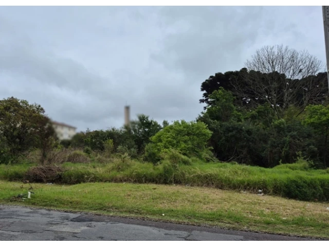 Terreno no Colônia Afonso Pena (foto 3 de 31)