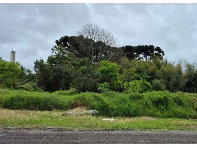 GRANDE TERRENO - 55.955,19m² - SÃO JOSÉ DOS PINHAIS/PR