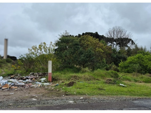 Terreno no Colônia Afonso Pena (foto 6 de 31)