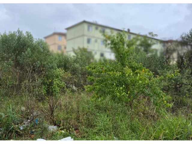 Terreno no Colônia Afonso Pena (foto 11 de 31)
