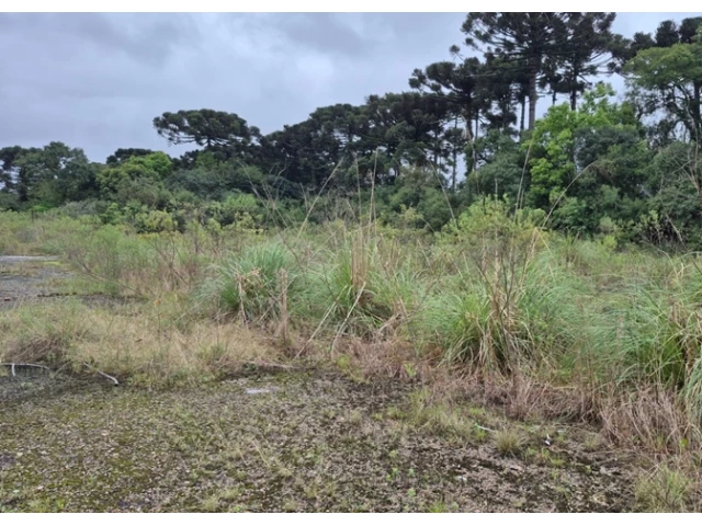 Terreno no Colônia Afonso Pena (foto 18 de 31)