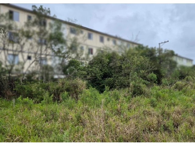 Terreno no Colônia Afonso Pena (foto 19 de 31)