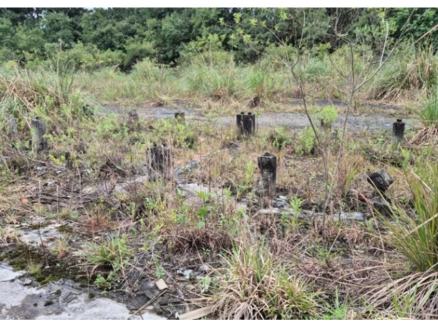 Terreno no Colônia Afonso Pena (foto 20 de 31)