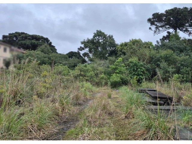 Terreno no Colônia Afonso Pena (foto 21 de 31)