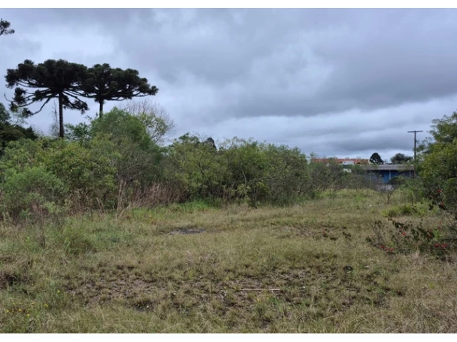 Terreno no Colônia Afonso Pena (foto 26 de 31)
