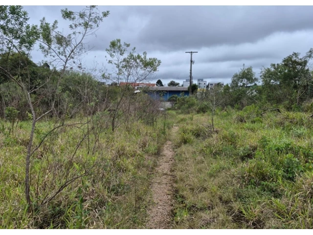 Terreno no Colônia Afonso Pena (foto 27 de 31)