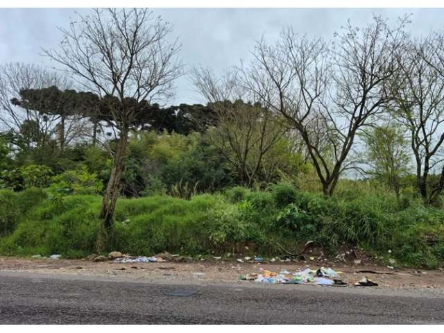 Terreno no Colônia Afonso Pena (foto 31 de 31)
