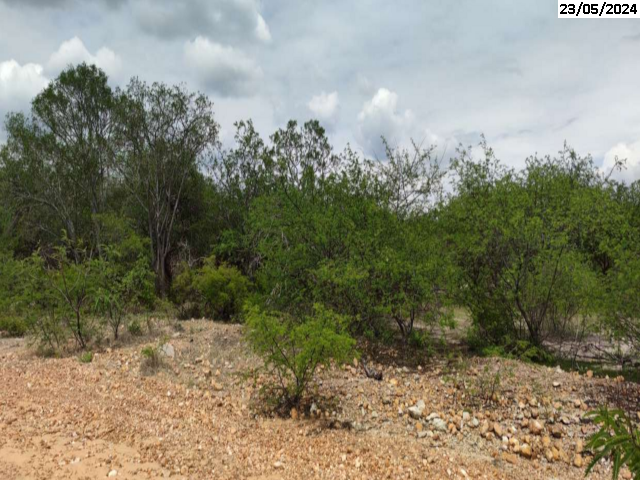 Fazenda c/ 247,3848 ha - Casa Nova/BA