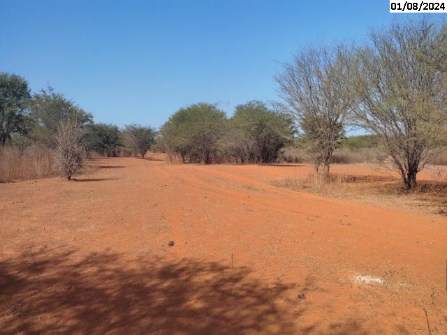 Fazenda Visual - 174,0 ha - Irecê/BA