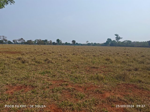 Foto Capa: LEILÃO DA JUSTIÇA ESTADUAL DE CÂNDIDO DE ABREU/PR - VARA CÍVEL