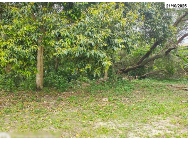 Foto Capa: ALIENAÇÃO DEFINITIVA DA SECRETARIA NACIONAL DE POLÍTICAS SOBRE DROGAS - SENAD - ESTADO DO RIO DE JANEIRO - EDITAL N° 02/2026 - ANEXO II