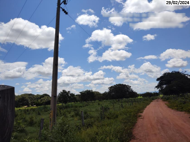Gleba (foto 10 de 24)