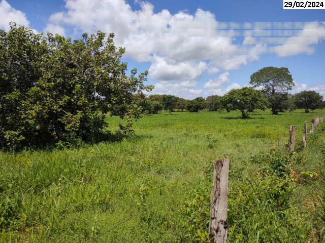 Gleba (foto 17 de 24)