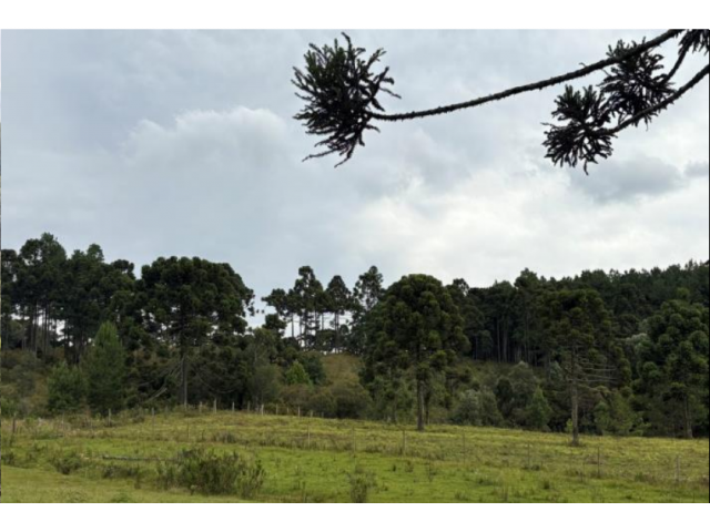 Fração Ideal de sítio c/ 28,89 hectares - Correia Pinto/SC