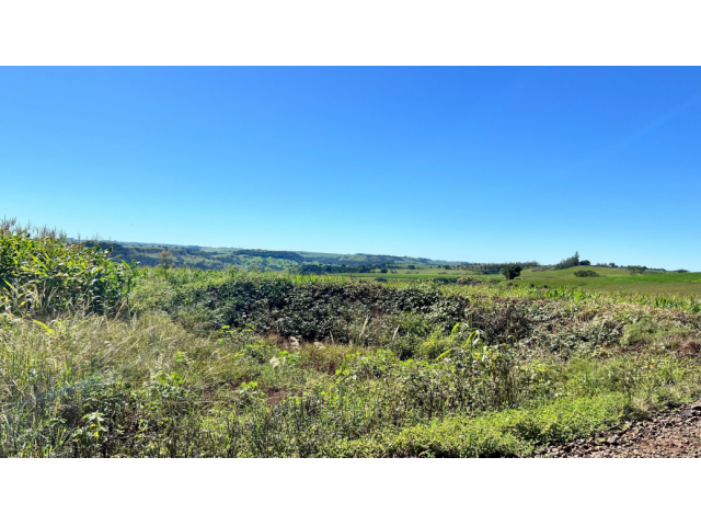 Sítio c/ 13,10 has - Campina da Lagoa/PR