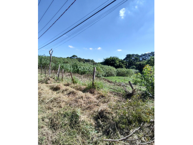 Terreno c/ 2.950m² - São Roque/SP