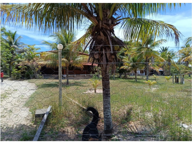 Chácara c/ 1,09 hectares - Alcobaça/BA