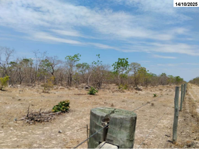 Foto Capa: LEILÃO DA JUSTIÇA ESTADUAL DE FLORES DE GOIÁS/GO - VARA CÍVEL
