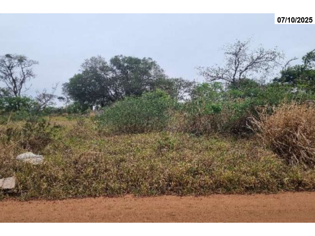 Chácara c/ 11.800,00 m² - Campo Grande/MS