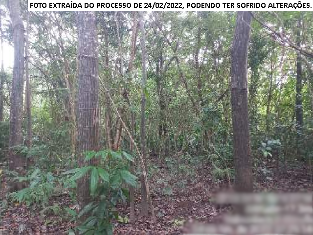 Imóvel c/ 600ha - Retiro “Santo Antônio" - Chaves/PA