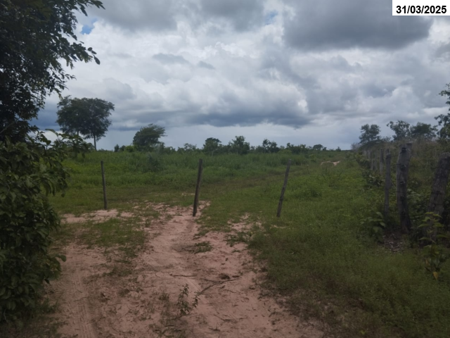 Foto Capa: LEILÃO DA JUSTIÇA ESTADUAL DE TAGUATINGA/TO - 1ª VARA CÍVEL