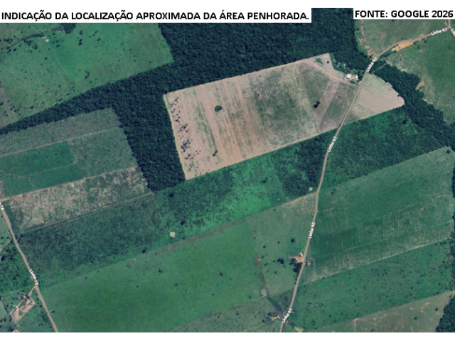 Fazenda c/ 115,8650 hectares - Costa Marques/RO
