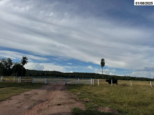 Foto Capa: LEILÃO DA JUSTIÇA ESTADUAL DE MIRASSOL DO OESTE/MT - 2ª VARA