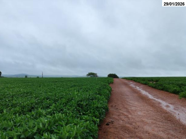 Foto Capa: LEILÃO EXTRAJUDICIAL - COOPERATIVA DE CRÉDITO DE LIVRE ADMISSÃO DO CENTRO-SUL GOIANO LTDA - SICOOB CENTRO SUL - MORRINHOS/GO