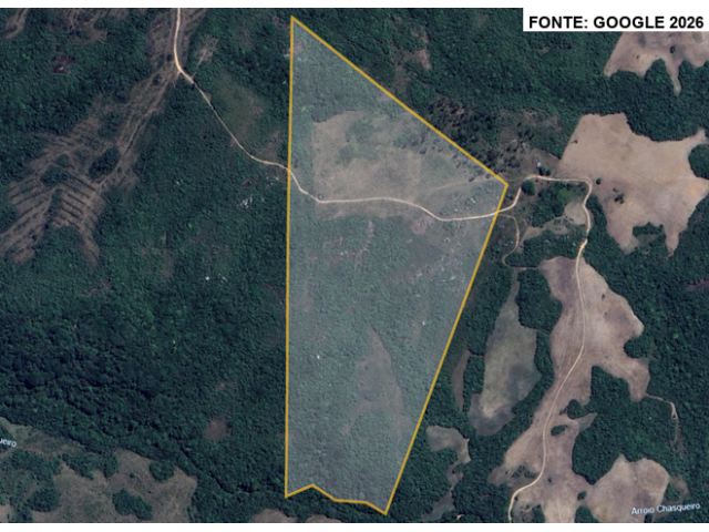 Foto Capa: Arroio Grande/RS - Sítio c/ área de 29 hectares e 04 ares