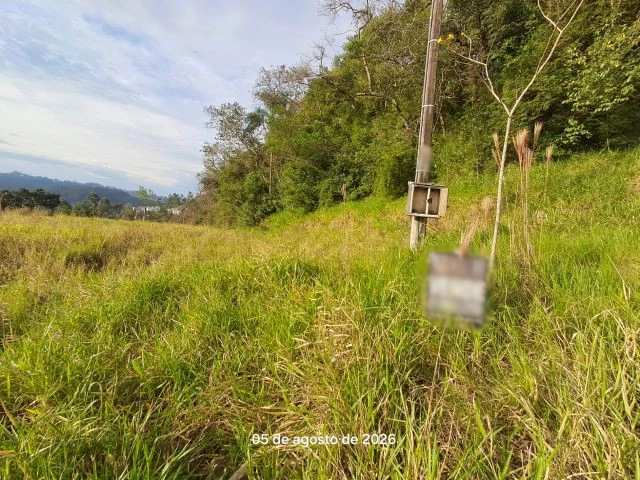 Terreno no Floresta (foto 2 de 5)
