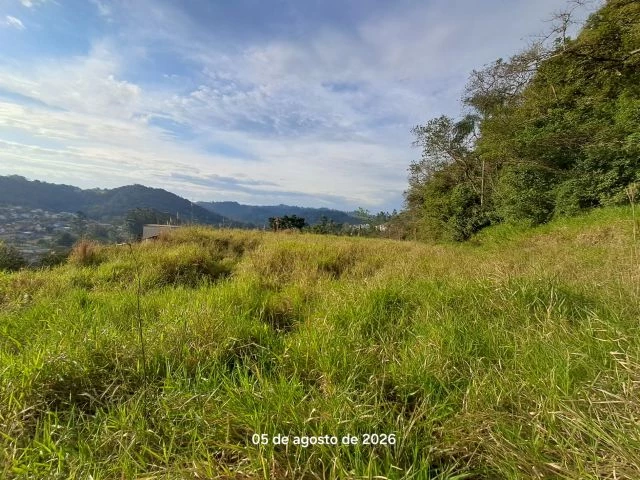 Terreno no Floresta (foto 3 de 5)