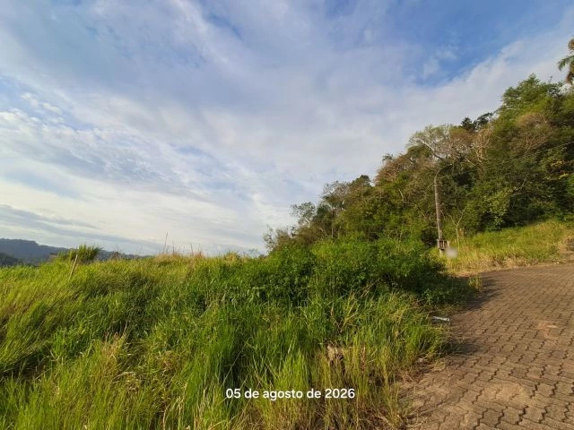 Terreno no Floresta (foto 5 de 5)
