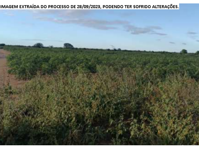 Fazenda c/ 240 ha - Araripina/PE