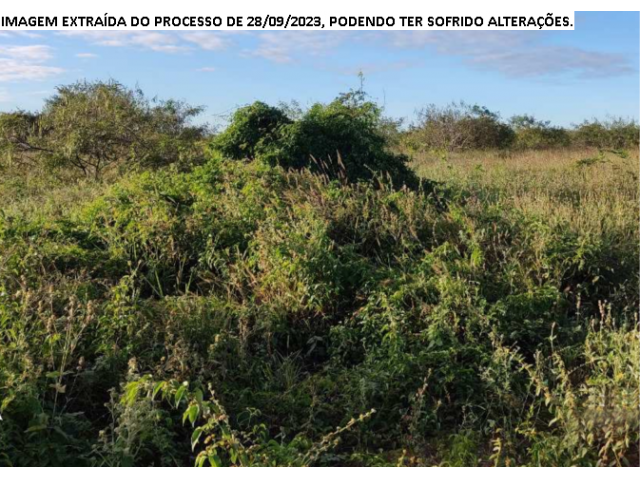 Fazenda c/ 240 ha - araripina/pe - foto 3