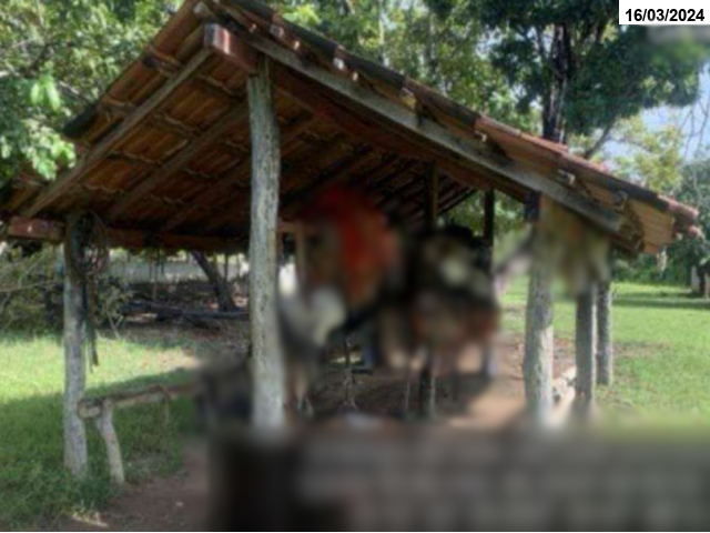 Gleba no Zona rural (foto 20 de 23)