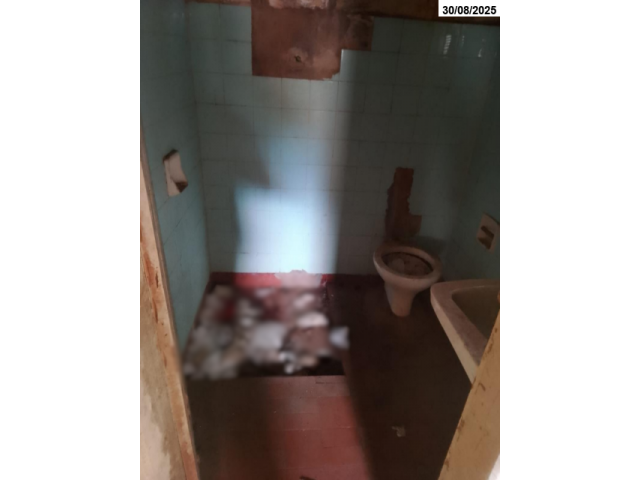Casa no Vila Bérgamo (foto 14 de 16)