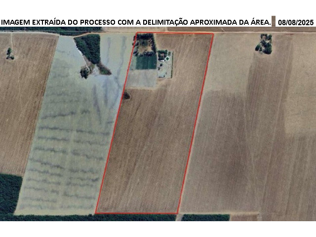 miniatura-1