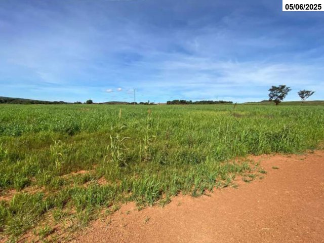 Foto Capa: Cidade Ocidental/GO - Fazenda c/ 183,50 hectares