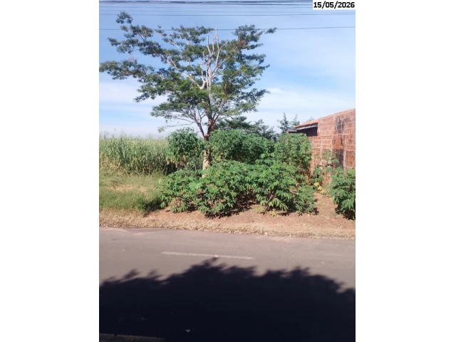 Terreno c/ 250m² - Catanduva/SP