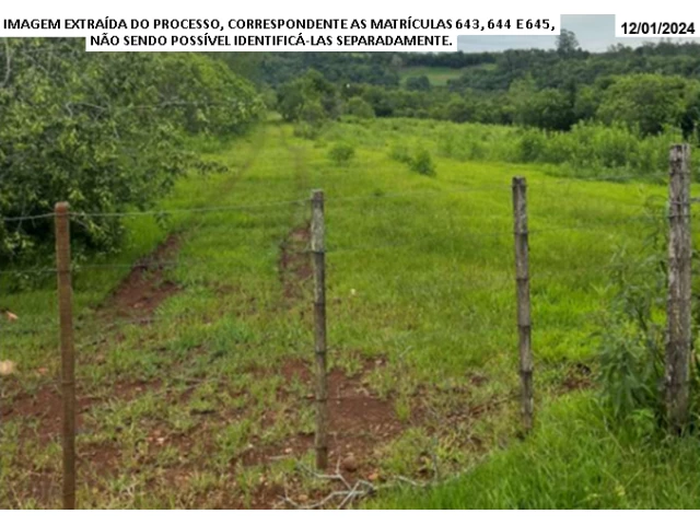 Gleba no Localidade Campo Alegre (foto 2 de 5)