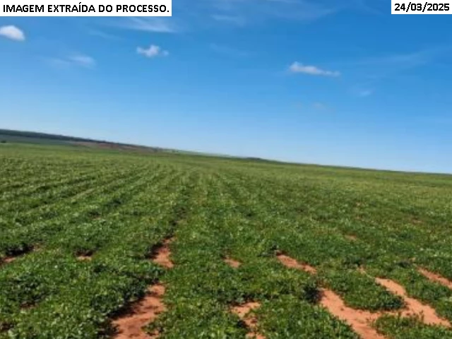 Foto 1 de Fazenda c/ 196,4662 hectares - Teodoro Sampaio/SP