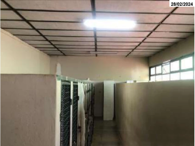 Galpão no Jaraguá (foto 13 de 18)