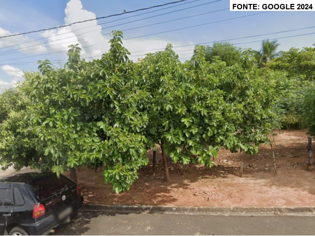 Terreno c/ 495m² - Junqueirópolis/SP