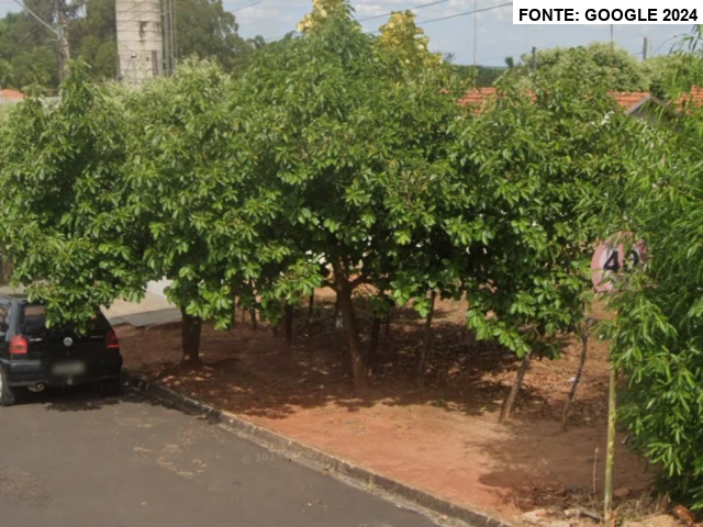 Terreno (foto 4 de 4)