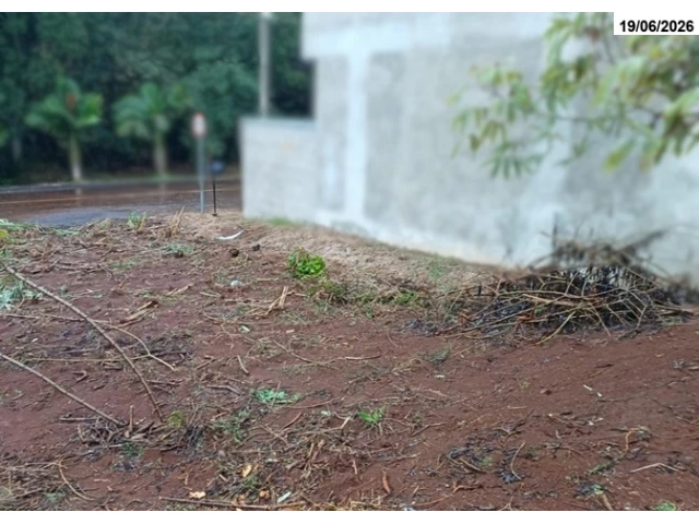 Terreno no Colônia Missões (foto 2 de 5)