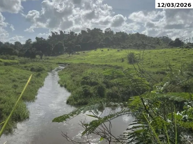 Sítio com 25,03 hectares - Ministro Andreazza/RO