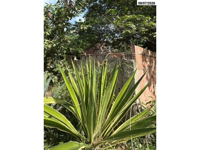 Casa no Bandeirantes II (foto 2 de 8)