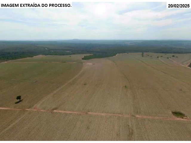 Gleba no Cana Brava (foto 4 de 29)
