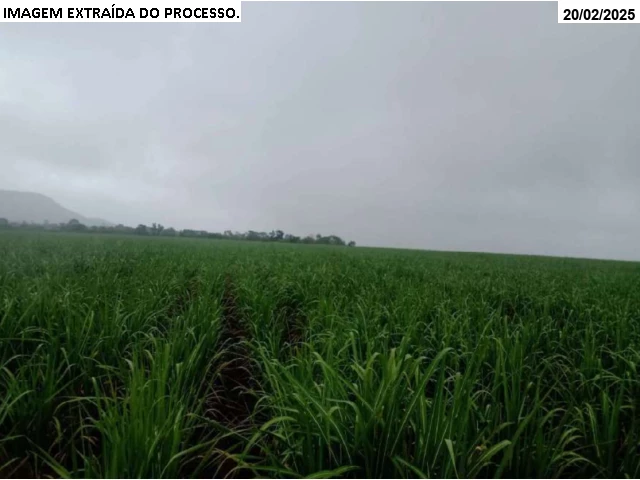 Gleba no Cana Brava (foto 8 de 29)