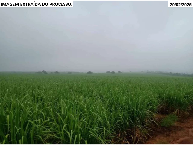 Gleba no Cana Brava (foto 9 de 29)